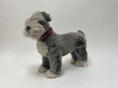 A Steiff Schnauzer plush toy with original tags and complete with red leather collar 078811 (l.