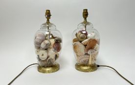 A pair of glass and brass mounted ginger jar shell-filled table lamps, with conch shells, cowry