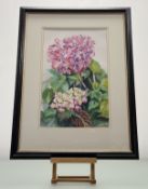 Jan Holak, Hydrangea, ink and wash, signed bottom left, paper label verso, in a glazed frame. (