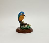 A Border Fine Arts Ornithological Kingfisher study, 'Kingfisher 484334' modelled by Russell
