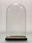A 19thc Glass dome display, on fitted wooden base. (crack to back) (h-49cm)