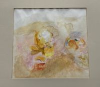 Moira Maitland (Scottish 1936-2004), Fruits, watercolour, unsigned, titled verso, in a glazed frame.