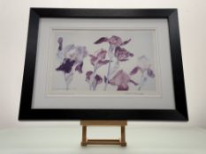 Dame Elizabeth Violet Blackadder DBE, RA, RSA, (Scottish 1931-2021), Iris, 214/300 limited print,