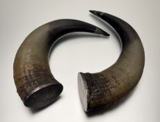 A pair of William IV silver-mounted cow horns, each horn with a disc cap hallmarked for Rettie &