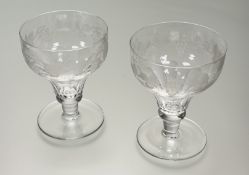 A pair of 19th century acid-etched rummers, the tapered bowls panelled to the base and etched with a