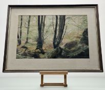 Enid McCabe (Scottish 1926-2020), Spring Sunshine Dunkeld, pastel, signed and dated '81 bottom