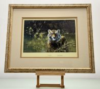 A pair of prints by David Shepherd O.B.E F.R.S.A (British 1931-2017) , Cool Tiger, limited print