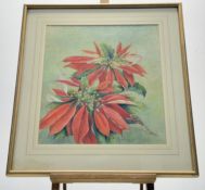 Pat Cairney, Poinzettia, watercolour, signed and dated '84 bottom right, paper label verso, in a