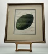 After William Hooker (British 1779-1832), The Winter Melon print, after - The Transactions of the