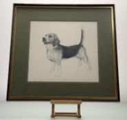 A Contemporary School, Beagle Dog Sketch titled - Tiger of Torridon - Best... in Shows - Hong Kong