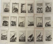 De Buffon Natural History 1812, thirty plates,21.5cm x 13.5cm, unframed