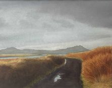 Wladyslaw Mirecki, contemporary, watercolour on paper - Toward Smerwick from Ballyferriter, signed a