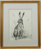 Mandy Dearsley (Contemporary) charcoal drawing - Mad March Hare, signed, 33cm x 24cm, framed and gla