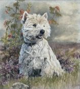 Jo Campion, watercolour of ‘Muffin’ the West Highland Terrier, pencil signed, dated ‘85, framed and