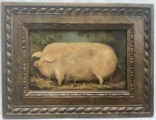 English School, oil on panel - A Prize Pig, 16.5cm x 27cm, in carved wooden frame