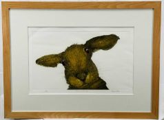 Sonia Rollo, Hare in the Lens, limited edition print, pencil signed, 30cm x 49cm, framed and glazed