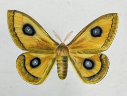 Fine & Affordable Art