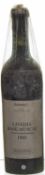 Livadia Rose Muscat 1905