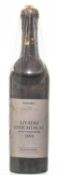 Livadia Rose Muscat 1895