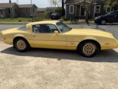 1980 Pontiac Firebird Esprit Yellowbird - SELLING NO RESERVE