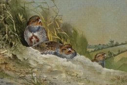 ‡ DAVID KERR (b.1952) watercolour - grey partridges, signed, 6 x 8cms Provenance: private collection