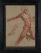 EARLY 20TH C. SCHOOL chalk – sanguine anatomical study, 106 x 73cms Provenance: The Cornelia