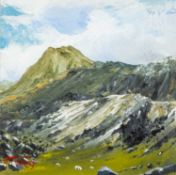 ‡ PETE TURLEY, oil on card - sheep grazing on Snowdonia hillside, signed, 16 x 16cms