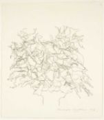 ‡ MICHAEL CROWTHER (b.1946) pencil on paper - entitled verso 'Blooms in Vase' on Martin Tinney