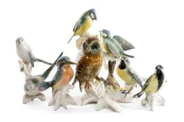 SELECTION OF KARL ENS PORCELAIN BIRDS including, Great Tit, Tawny Owl, Pair of Long Tailed Tits