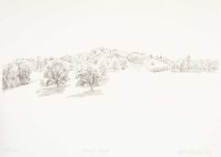 ‡ WILLIAM WILKINS (b.1938) limited edition (67/100) lithograph - entitled 'Dinefwr Park'