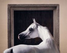 ‡ TIM FLACH (British, b. 1958) lambda digital C-type print - 'Windows - Grey', with COA, signed