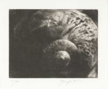‡ JOHN MACFARLANE (b. 1948) limited edition (artist proof) drypoint - entitled verso 'Shell'