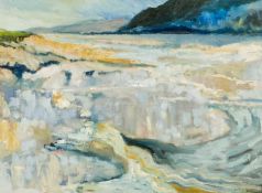 ‡ HOWARD COLES (b. 1935) oil on card - entitled verso 'Water Shimmering, Portmeirion', unsigned