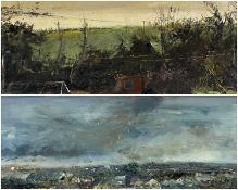 TERRY PILCHER (b. 1926) two oils on board - Starlings, signed, 20 x 75.5cms; Storm Clouds, signed