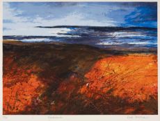 ‡ ROSS LOVEDAY (b.1946) limited edition (10/75) screen print - entitled 'Headland', fully signed