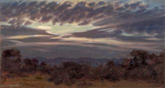 ‡ DAVID WOODFORD (b.1938) oil on card - entitled verso, 'Evening Sky'