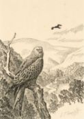 ‡ CHARLES FREDERICK TUNNICLIFFE OBE RA (1901-1979) lithograph on sepia - 'Barcud Coch / Red Kite'