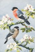 ‡ CHARLES FREDERICK TUNNICLIFFE OBE RA (1901-1979) watercolour - pair of bullfinches perched