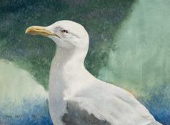 ‡ DAVID COWDRY oil on panel - study of a gull, signed and dated 1995