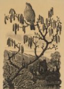 ‡ CHARLES FREDERICK TUNNICLIFFE OBE RA (1901-1979) lithograph on sepia - song thrush in branches