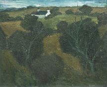 ‡ TOM GERRARD (1923-1976) oil on board - entitled verso 'Anglesey Landscape with Cottage'