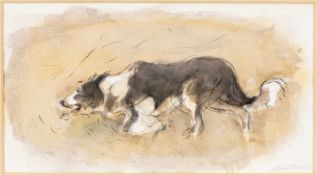 ‡ WILLIAM SELWYN (b.1933) mixed media - study of a working sheepdog