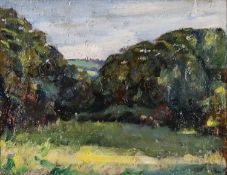 ‡ JOHN CYRLAS WILLIAMS (b.1902) oil on canvas - landscape