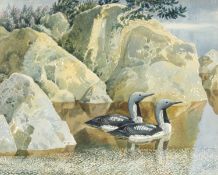 ‡ CHARLES FREDERICK TUNNICLIFFE OBE RA (1901-1979) watercolour - entitled verso, 'Blackthroats'