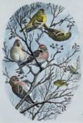 ‡ CHARLES FREDERICK TUNNICLIFFE OBE RA (1901-1979) watercolour - charm of finches perched