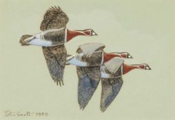 ‡ SIR PETER SCOTT (b.1909) watercolour - entitled verso, 'Three Red Breasted Geese', signed and