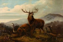 ROBERT CLEMINSON (fl.1864-1903) oil on canvas - red deer stags and hinds in Highland landscape
