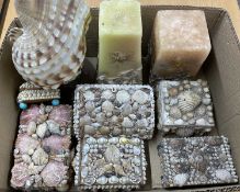LARGE COLLECTION OF SEASHELLS & OTHER COLLECTABLES, contained within eight boxes Provenance: The