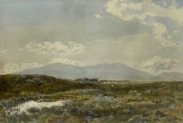 ALBERT POLITT (early 20th century) watercolour - moorland with sheep grazing, indistinctly signed