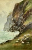 ARTHUR STANLEY WILKINSON (British c.1860-1930) watercolour - coastal cliffs with sheep grazing in